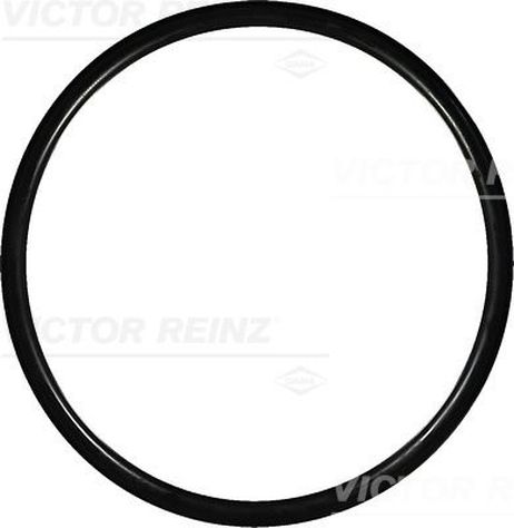 Victor Reinz 40-76384-00 Кольцо уплотнительное