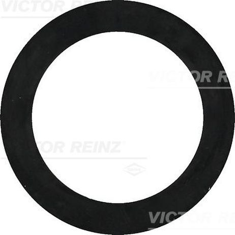 Victor Reinz 40-77322-00 Кольцо уплотнительное