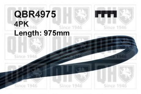 Quinton Hazell QBR4975 Ремень поликлиновый