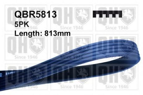 Quinton Hazell QBR5813 Ремень поликлиновый
