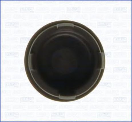 фото Ajusa 00794900 Заглушка головки блока Ajusa 00794900 Заглушка головки блока