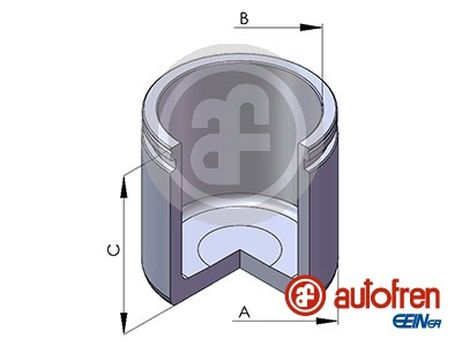 Seinsa Autofren D025110 Поршень тормозного суппорта | перед |