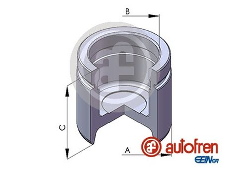 Seinsa Autofren D02563 Поршень тормозного суппорта | перед | D54