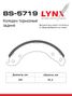 LYNXauto BS-5719 Колодки тормозные барабанные | зад | - 2