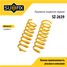 SUFIX SZ-2639 Пружины подвески | зад прав/лев | - 1