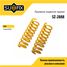 SUFIX SZ-2888 Пружины подвески | зад прав/лев | - 1