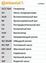 Contitech CT1028WP3 Комплект ремня ГРМ + насос водяной  - 16