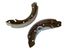 Stellox 430 100-SX Колодки барабанные Peugeot Partner | зад | - 4