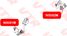 VTR NI5001M Подушка двигателя, передняя - 2
