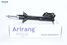 Arirang ARG26-1116L ABS Амортизатор задний левый - 1