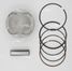 AUTOWELT PN31061 Поршнекомплект mazda FS d83.00.5 - 3