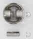 AUTOWELT PN-52101 Поршнекомплект mb m102 2.0 d89.0+0.5 d22 84- без к - 3