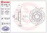 Brembo 08.9136.1X Диск тормозной Xtra | зад | - 1