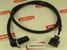Deko DMR569411 Датчик ABS pajero V75 (v60,70#) montero v75w (fr/lh) - 1