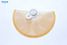 Arirang CT19 Фильтр бензонасоса - 2