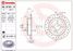 Brembo 08.9163.1X Тормозной диск | зад | - 1