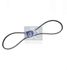 DT Spare Parts 4.80206 Ремень - 2