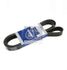 DT Spare Parts 6.31502 Ремень - 2
