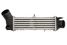 THERMOTEC DAT002TT Теплообменник - 1