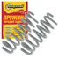 Riginal RG21232902712 Пружина подвески передней ваз-2123 (1шт.) Riginal (коричневая маркировка) - 1