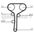 CONTINENTAL CTAM CT1007 Belt - 3
