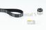 CONTINENTAL CTAM CT1008K2 Belt Kit - 4