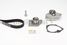 CONTINENTAL CTAM CT1025WP2 Water Pump-/Timing Belt Set - 4