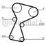 CONTINENTAL CTAM CT1026 Belt - 4