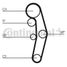 CONTINENTAL CTAM CT1028WP5 Water Pump-/Timing Belt Set   - 3