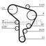 CONTINENTAL CTAM CT1044 Belt - 4