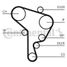 CONTINENTAL CTAM CT1044 Belt - 5