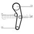 CONTINENTAL CTAM CT1053 Belt - 4
