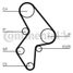CONTINENTAL CTAM CT1061 Belt - 4