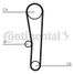 CONTINENTAL CTAM CT1062 Belt - 4