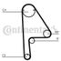 CONTINENTAL CTAM CT1081 Belt - 3