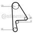 CONTINENTAL CTAM CT1082 Belt - 4