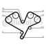 CONTINENTAL CTAM CT1113 Belt - 3