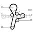 CONTINENTAL CTAM CT1121 Belt - 4