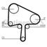 CONTINENTAL CTAM CT1133 Belt - 3