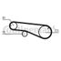 CONTINENTAL CTAM CT1141 Belt - 4