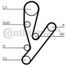CONTINENTAL CTAM CT1148 Belt - 4