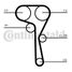 CONTINENTAL CTAM CT1167 Belt - 4