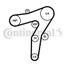 CONTINENTAL CTAM CT1183 Belt - 3