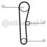 CONTINENTAL CTAM CT536 Belt - 3