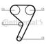 CONTINENTAL CTAM CT587 Belt - 3