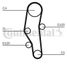CONTINENTAL CTAM CT589 Belt - 4
