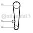 CONTINENTAL CTAM CT655 Belt - 3