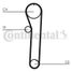 CONTINENTAL CTAM CT698 Belt - 3