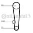 CONTINENTAL CTAM CT715 Belt - 3