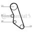 CONTINENTAL CTAM CT754 Belt - 4
